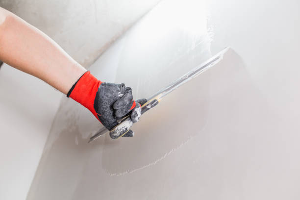  Professional Services for Drywall and Texture Application